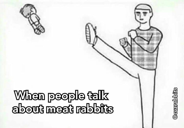 Bunny Memes: A funny collection for rabbit parents to enjoy and share ...