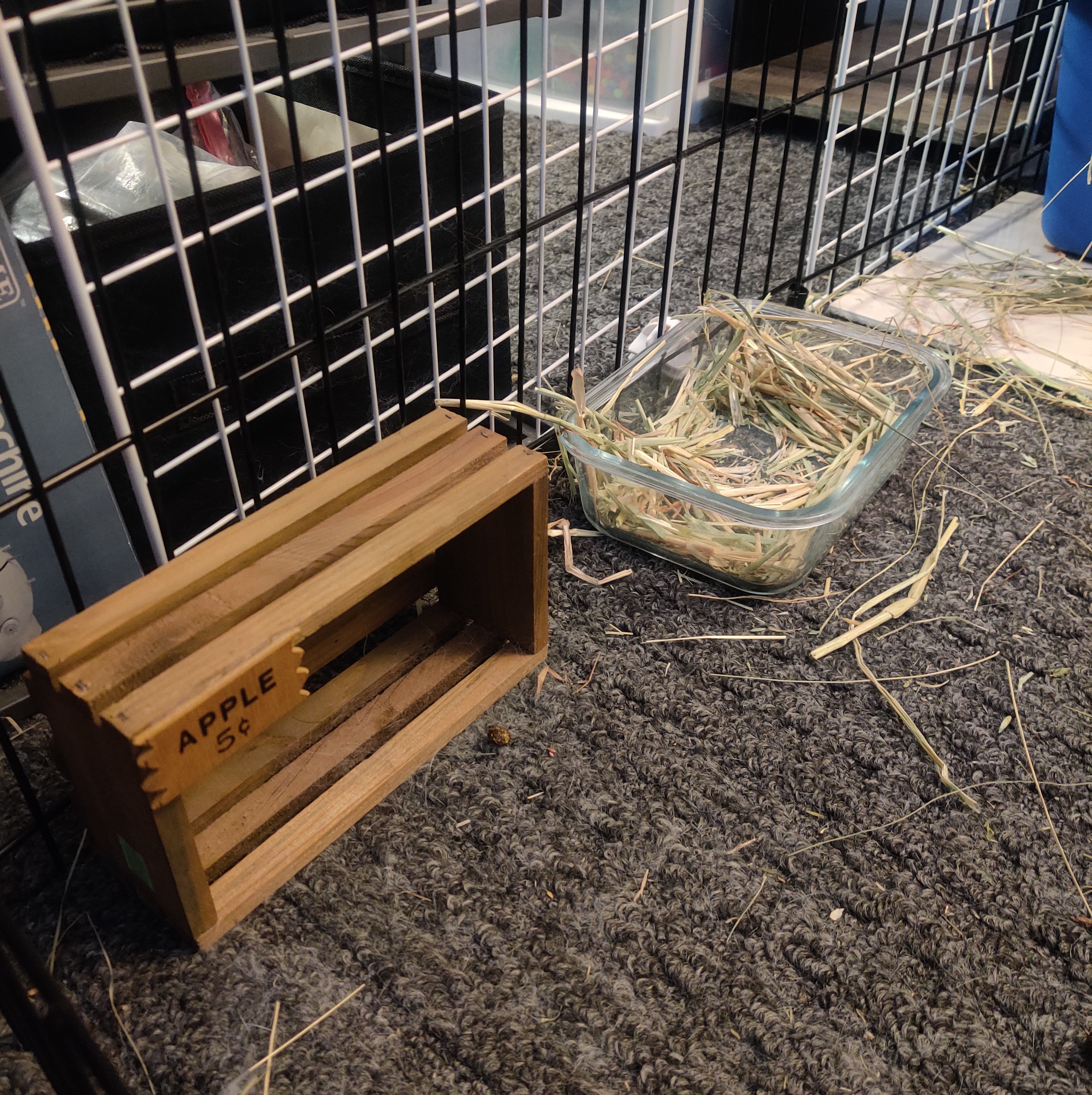 Peco Rabbits Layout Rabbitat Makeover: How to turn your rabbit’s playpen into your ...
