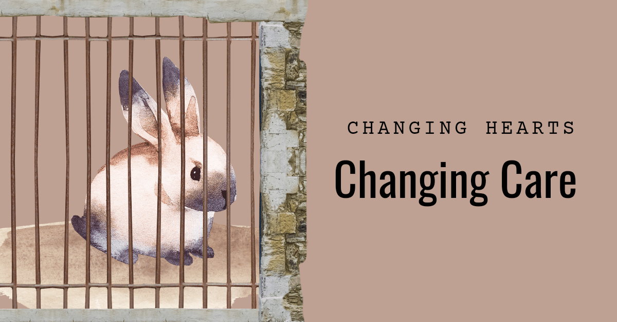 How to actually get newbies to take care of their rabbits&nbsp;properly