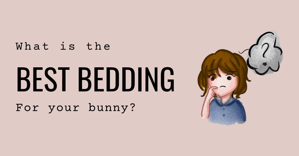 Review: What’s the best type of bedding for your rabbit’s litter box ...