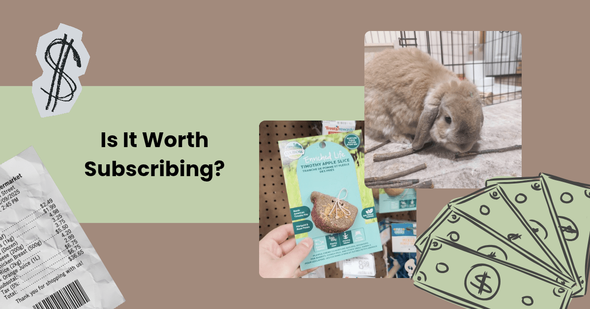 Four rabbit supply items worth subscribing to on&nbsp;Amazon