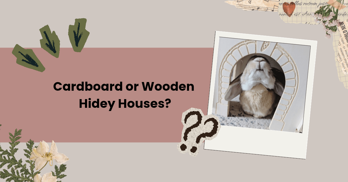 Wooden versus Cardboard Hidey Houses: Which option is the best for your&nbsp;rabbit?